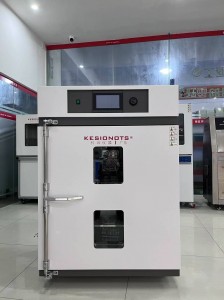 Precision Oven
